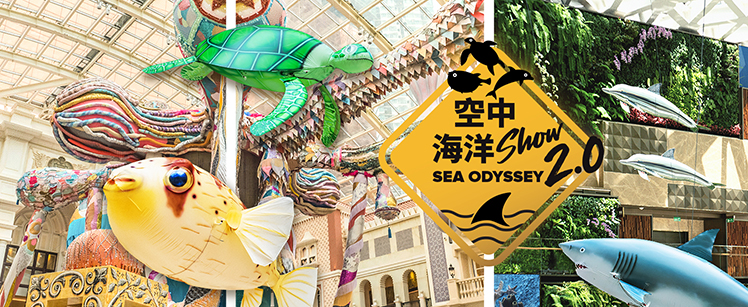 空中海洋SHOW