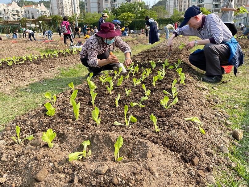 2021年第二期「農耕體驗」活動
